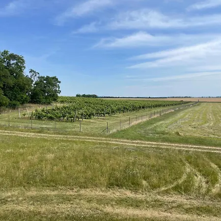 Pensionat Adama Pro Znojmo