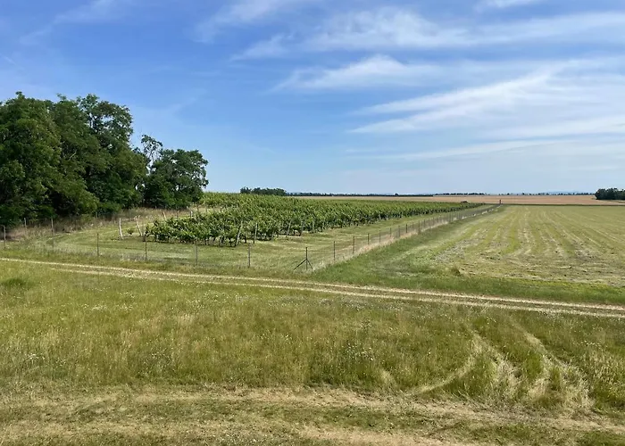 Affittacamere Adama Pro Znojmo